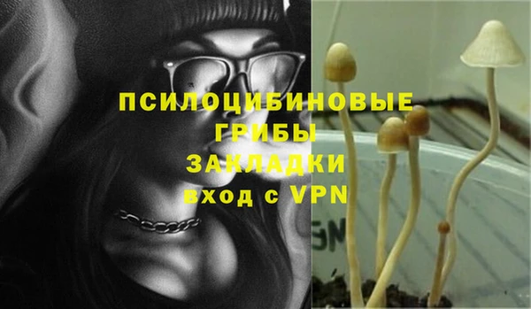 ECSTASY Покров