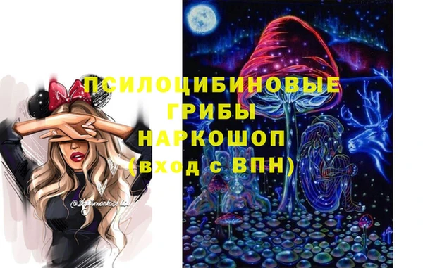 ECSTASY Покров