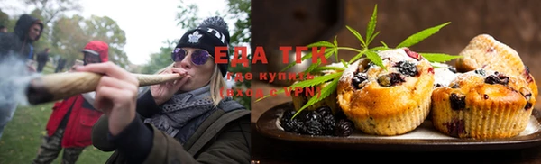 гидра Богородицк