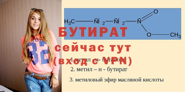 гидра Богородицк
