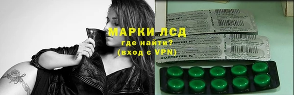 гидра Богородицк
